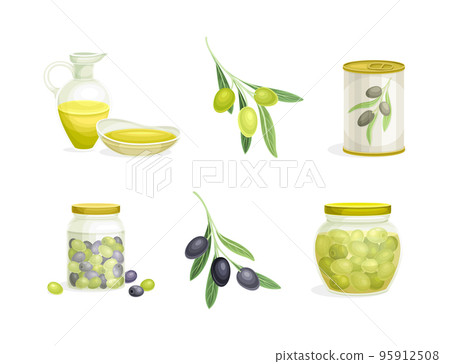 Olives Cultivar in Can and Jar with Small Black and Green Fruit Branch and Oil in Jug Vector Set 95912508