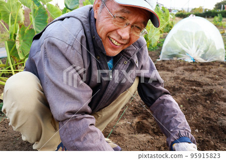 Kitchen garden senior man 95915823