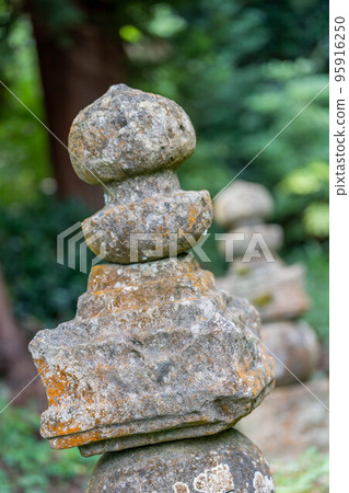 妙善寺 妙善寺 95916250