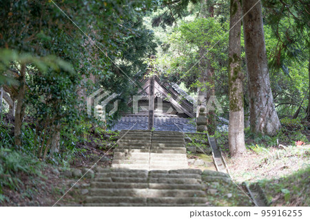 妙善寺 95916255
