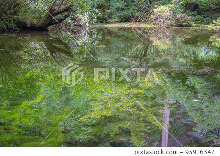 Mitarai pond 95916342