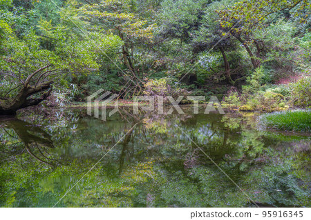 Mitarai pond 95916345