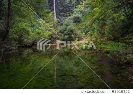 Mitarai pond 95916392