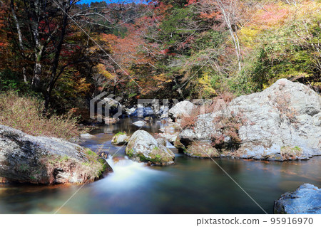 愛媛縣內子町小田山秋天 95916970