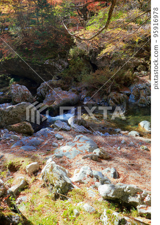 Ehime Prefecture Uchiko Town Odamiyama Autumn Ehime Prefecture Uchiko Town Odamiyama Autumn 95916978