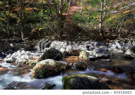 Ehime Prefecture Uchiko Town Odamiyama Autumn Ehime Prefecture Uchiko Town Odamiyama Autumn 95916985