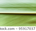 A close-up of the fibrous leaves of shell ginger 95917037