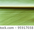 A close-up of the fibrous leaves of shell ginger 95917038