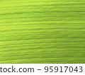 A close-up of the fibrous leaves of shell ginger 95917043