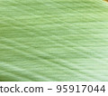 A close-up of the fibrous leaves of shell ginger 95917044