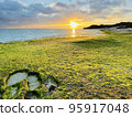 Spring beach with seaweed and orange sunrise 95917048
