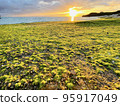Spring beach with seaweed and orange sunrise 95917049