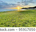 Spring beach with seaweed and orange sunrise 95917050