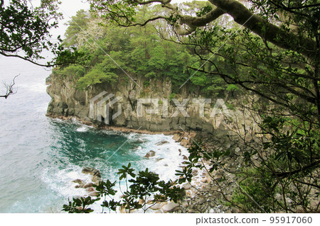 城崎海岸一覽無餘/【伊豆半島地質公園】靜岡縣伊東市 95917060