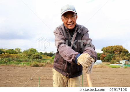 Senior man plowing with a hoe 95917108
