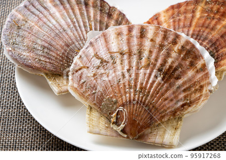 Scallops (shelled scallops). 95917268