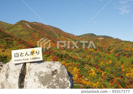 White Tongari Mountain White Tongari Mountain 95917377
