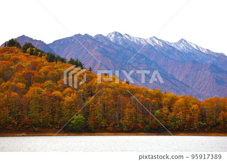 從奧多見湖的遊船看白雪覆蓋的荒澤岳和湖邊的紅葉 95917389