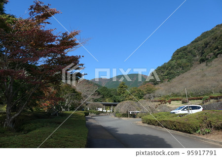 Yugawara Bairin Makuyama 95917791