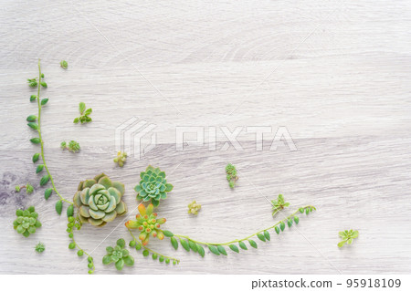 多汁的綠色框架 95918109