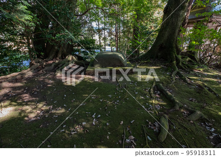 鳥取縣西白郡南部町天滿神社妖海所天滿 鳥取縣西白郡南部町天滿神社妖海所天滿 95918311