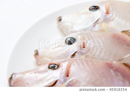 Filefish with skin removed. 95918354