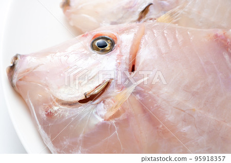 Close-up of peeled filefish. 95918357