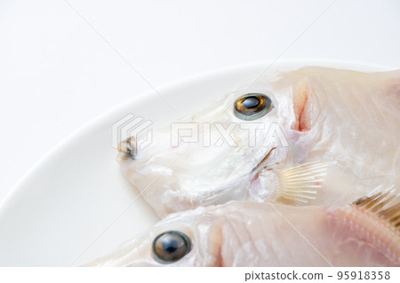 Close-up of peeled filefish. (white background) 95918358