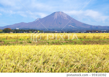 稻田的金穗和豐收的大山 稻田的金穗和豐收的大山 95918392