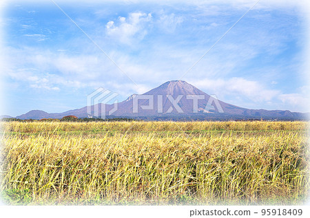 Golden rice ears and Daisen scenery (illustration style) in the harvest season Golden rice ears and Daisen scenery (illustration style) in the harvest season 95918409