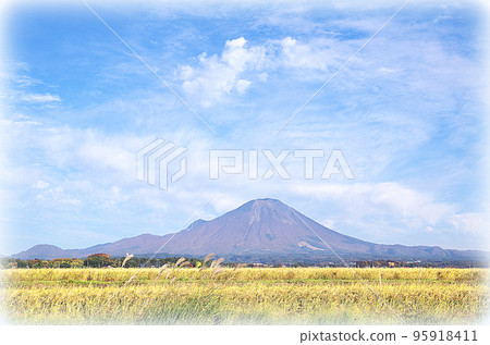 Golden rice ears and Daisen scenery (illustration style) in the harvest season Golden rice ears and Daisen scenery (illustration style) in the harvest season 95918411
