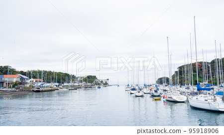 停泊在遊艇港的遊艇的秋天（神奈川縣三浦市諸磯港、湘南三浦半島） 95918906