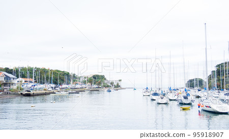 停泊在遊艇港的遊艇的秋天（神奈川縣三浦市諸磯港、湘南三浦半島） 95918907