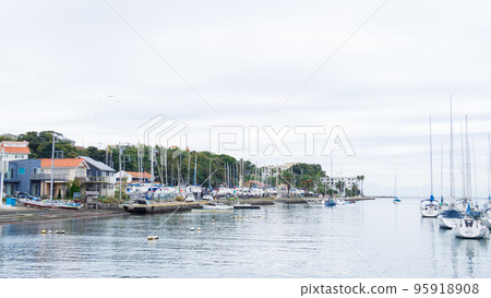 停泊在遊艇港的遊艇的秋天（神奈川縣三浦市諸磯港、湘南三浦半島） 95918908