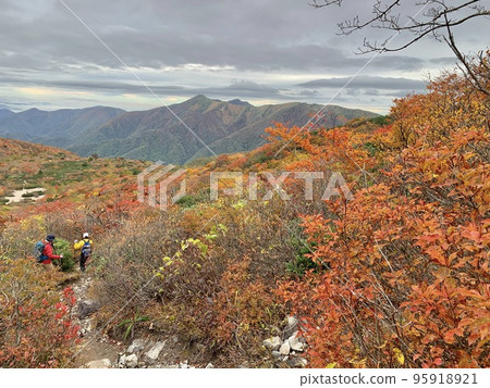 那須岳 (Mt. Chausu) 紅葉攀登 那須岳 (Mt. Chausu) 紅葉攀登 95918921