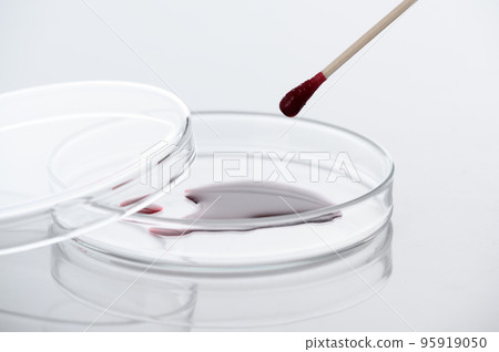Close-up of swab the blood or red liquid on petri dish in the medical laboratory- analyzes and diagnostics concept- on white background 95919050