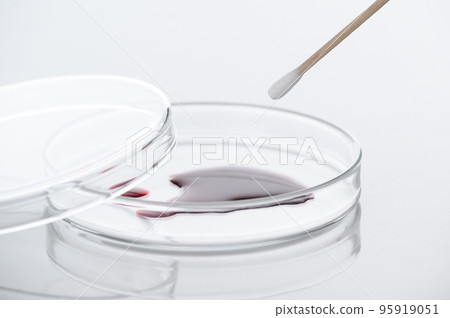 Close-up of swab the blood or red liquid on petri dish in the medical laboratory- analyzes and diagnostics concept- on white background 95919051