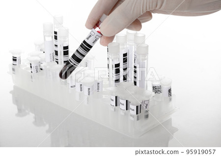 Hand wearing glove taking a blood sample tube or red liquid from a rack in the laboratory- on white background 95919057