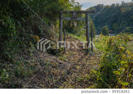 鳥取縣西白郡南布町的樂樂福神社鳥居門 95919261
