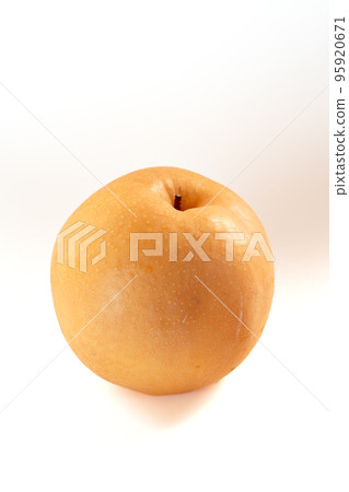 收穫的日本梨品種“Niitaka” 95920671