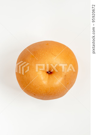 收穫的日本梨品種“Niitaka” 95920672