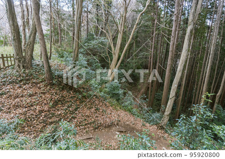 Kokura Castle Ruins / Tokigawa Town, Hiki District, Saitama Prefecture [Hiki Castle Ruins] 95920800