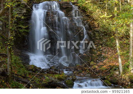 Nishikimi Falls flowing quietly deep in the forest, Kazuno City, Akita Prefecture 95921165