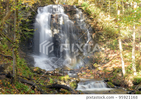 沐浴在清爽陽光中的錦見瀑布秋田縣和野市 95921168