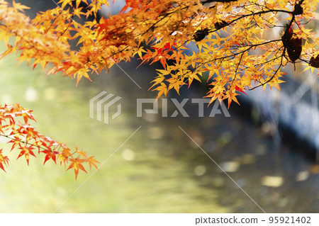 福島縣豬苗代町秋天的土田堰和秋葉的半津神社 福島縣豬苗代町秋天的土田堰和秋葉的半津神社 95921402