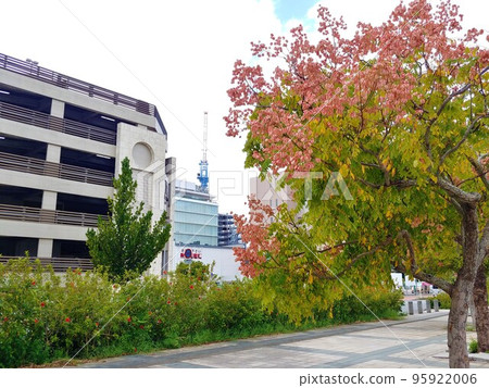 沖繩新都心公園 11 沖繩新都心公園 11 95922006