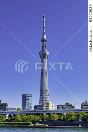 東京晴空塔、隅田川、隅田公園展望廣場的風景 95923629