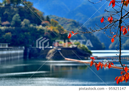 從大河內大壩看多摩川和奧多摩湖附近的秋葉 95925147