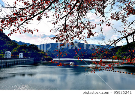 Scenery of autumn leaves near the Tama River and Lake Okutama from Ogouchi Dam 95925241