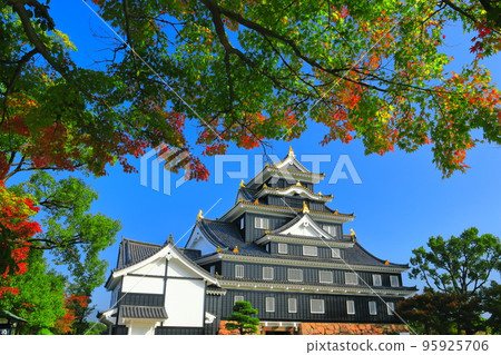 [岡山縣]大修後的岡山城（令和大修） 95925706